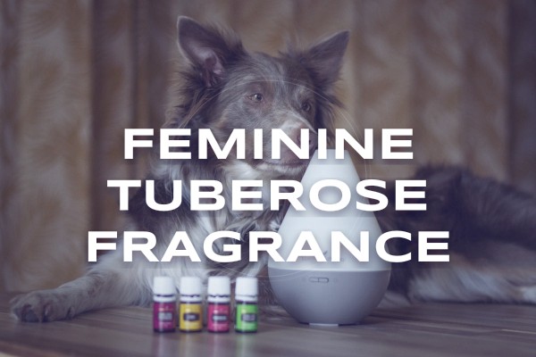 feminine tuberose fragrance