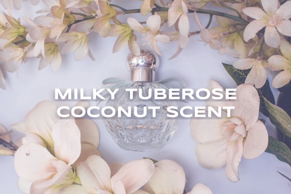 milky tuberose coconut scent