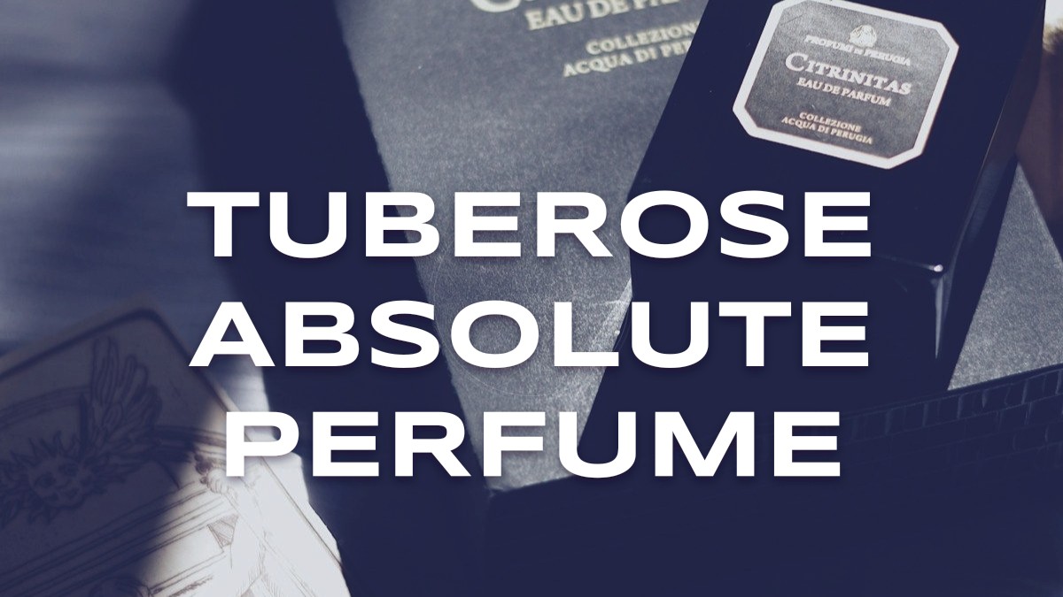 tuberose absolute perfume
