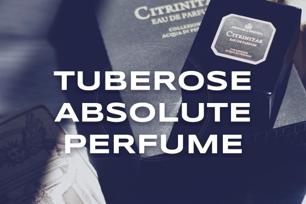 tuberose absolute perfume