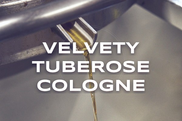 velvety tuberose cologne